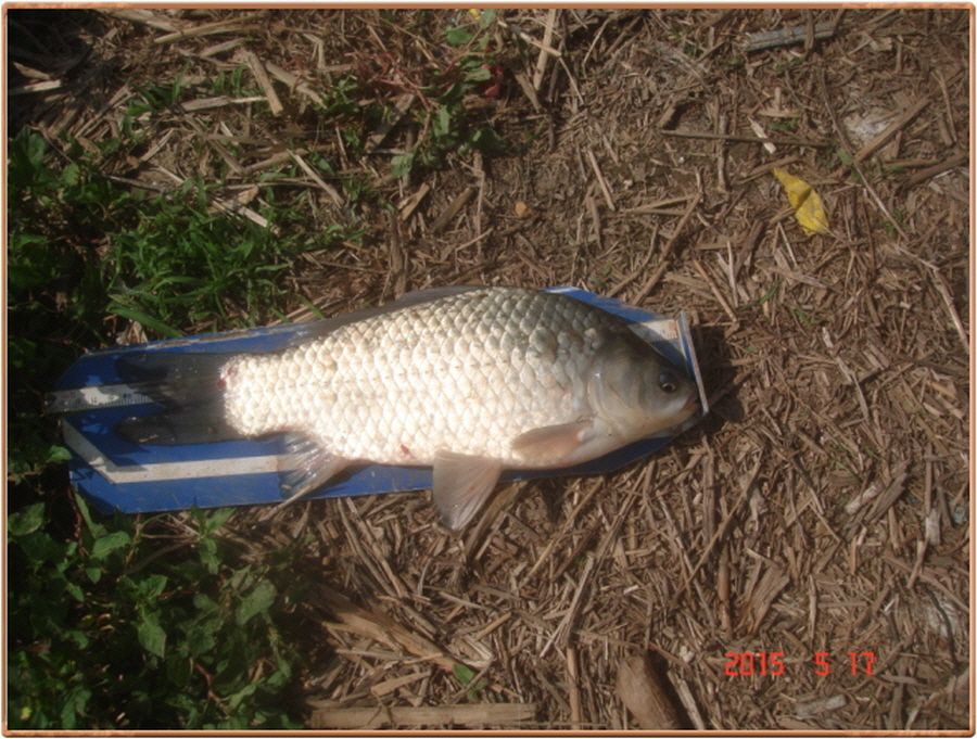 �ٹ̱�_���� 002.jpg