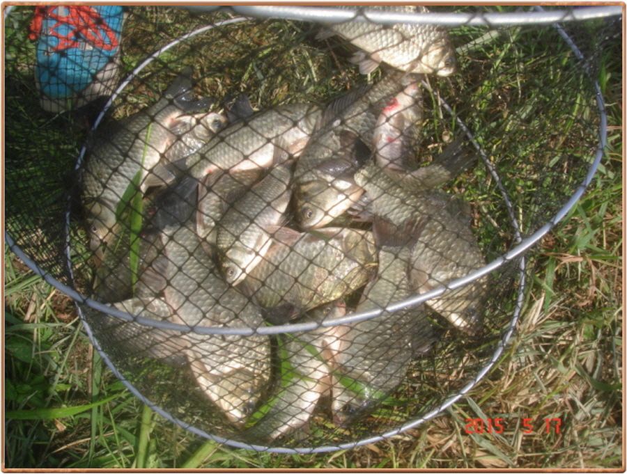 �ٹ̱�_���� 009.jpg