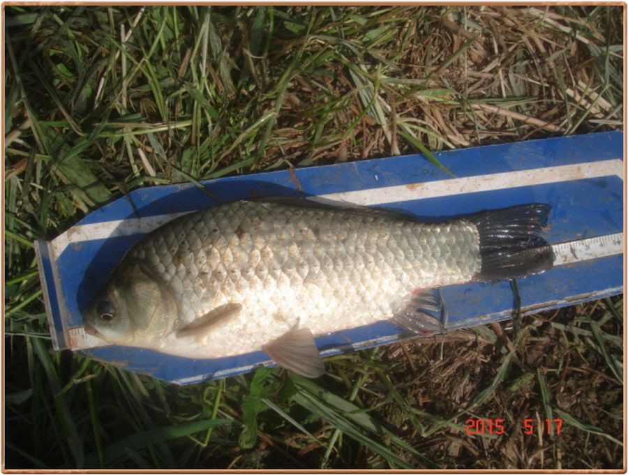 �ٹ̱�_���� 010.jpg