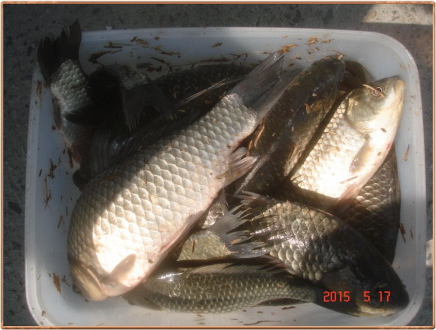 �ٹ̱�_���� 013.jpg