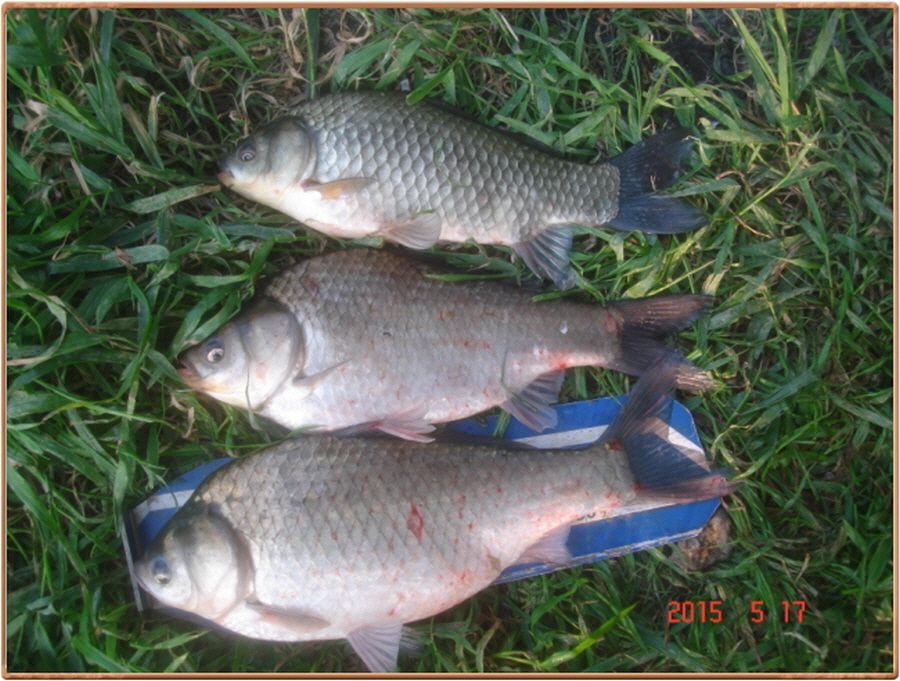 �ٹ̱�_���� 014.jpg