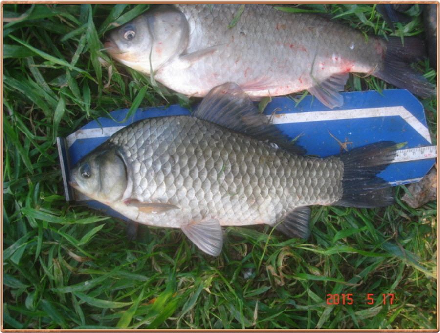 �ٹ̱�_���� 016.jpg