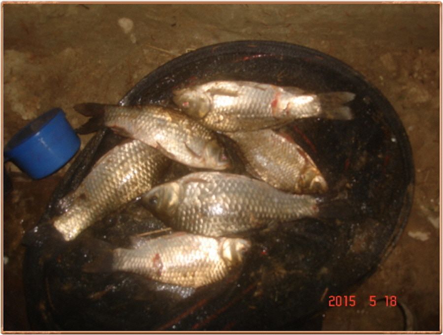 �ٹ̱�_���� 026.jpg