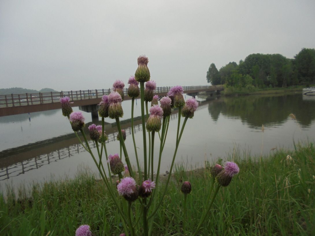 ũ�⺯ȯ_016.JPG