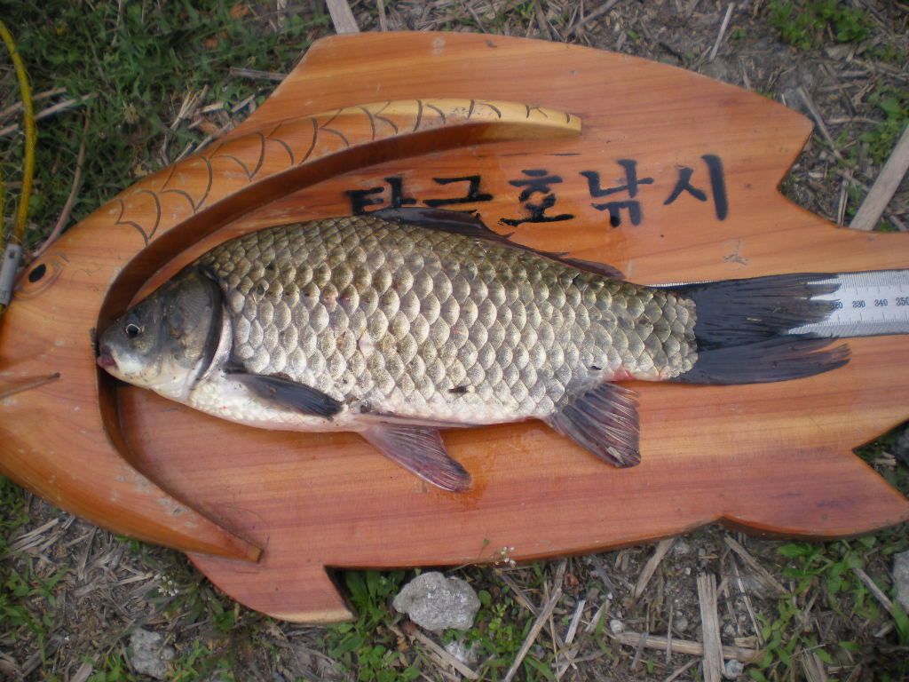 DSCN6604.JPG