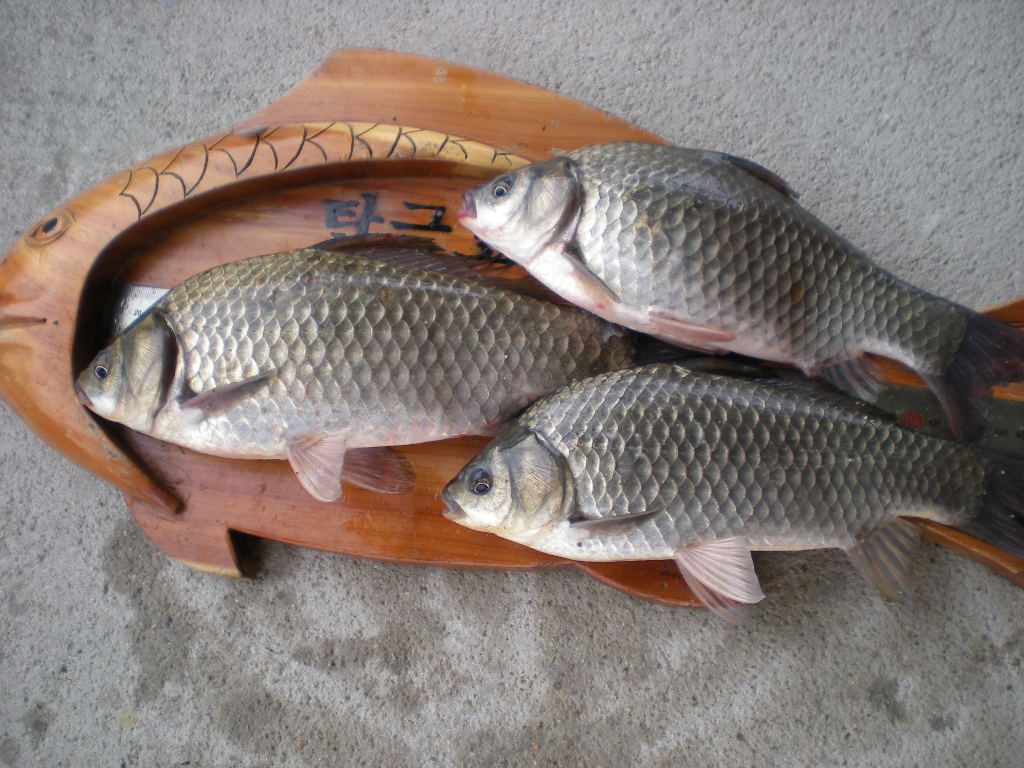DSCN6612.JPG