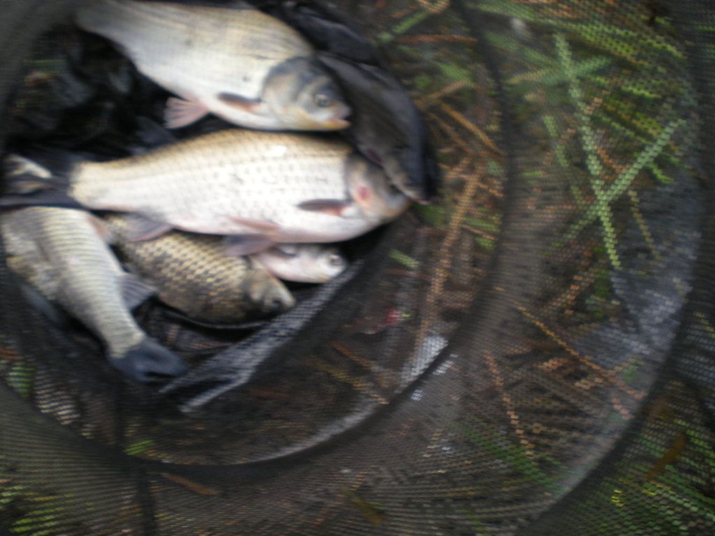 DSCN6621.JPG