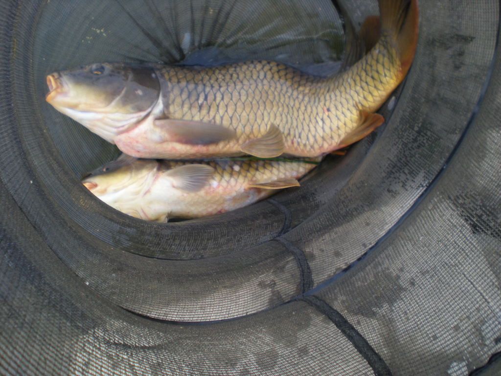DSCN6675.JPG