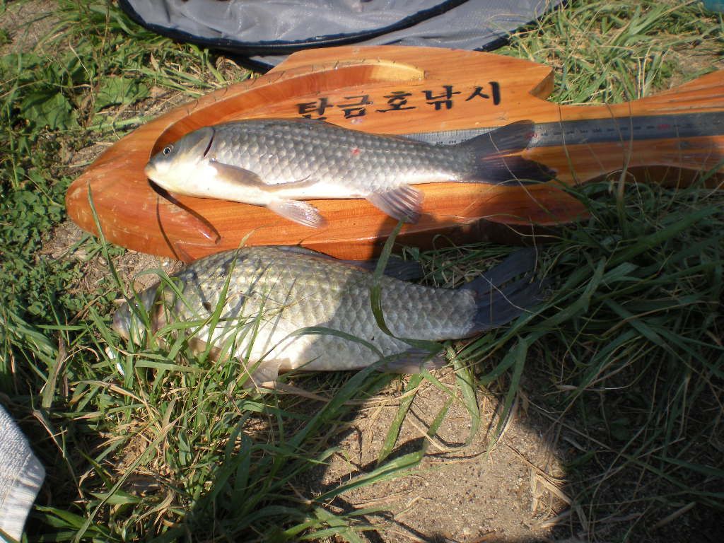 DSCN6693.JPG