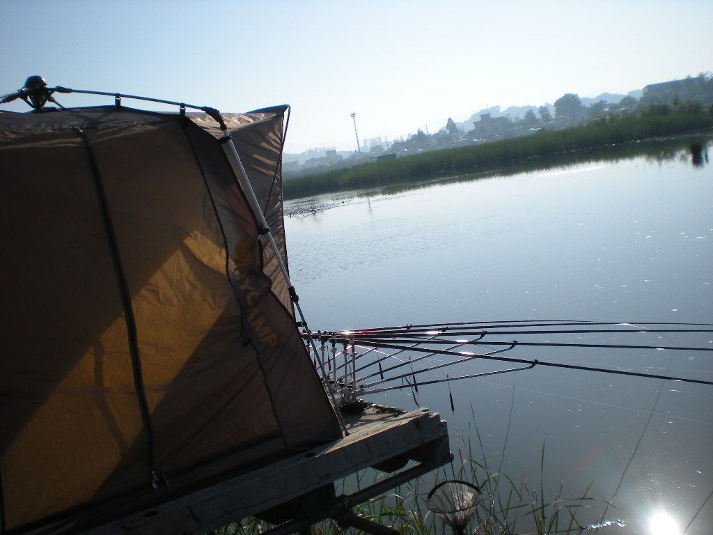 DSCN6724.JPG