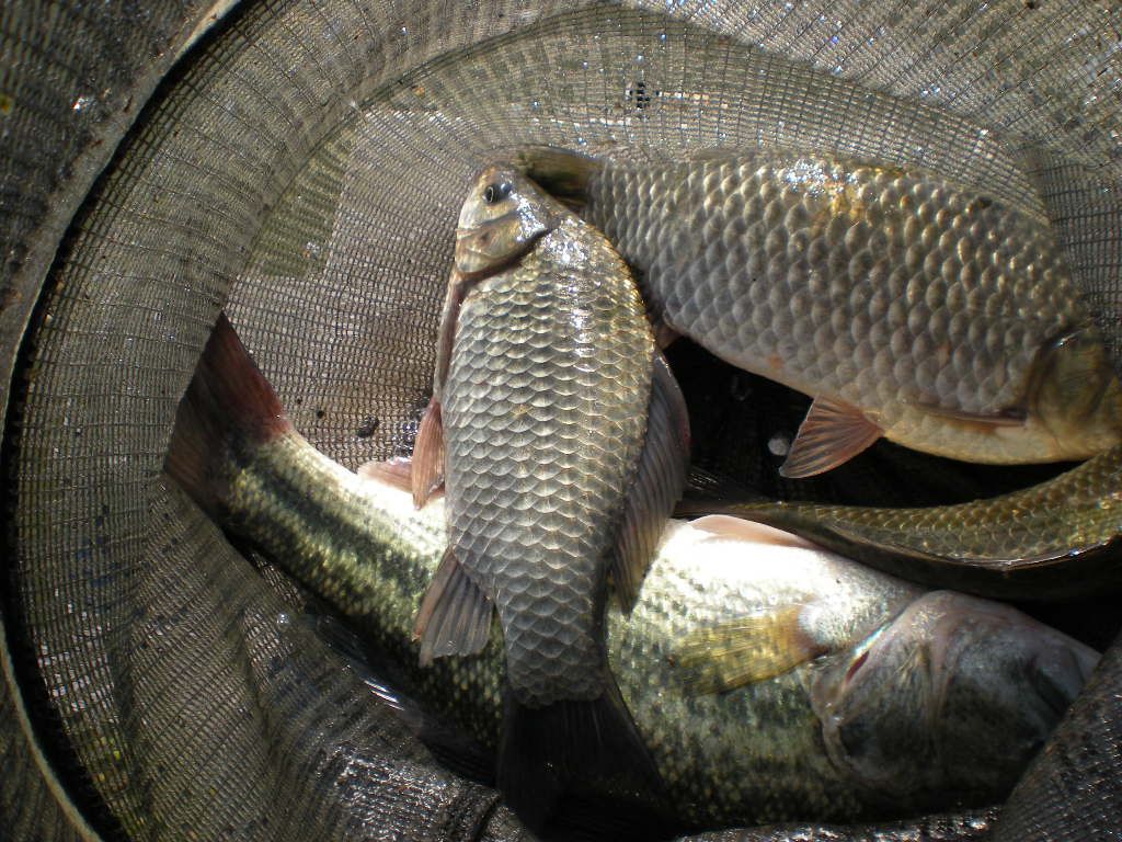 DSCN6726.JPG