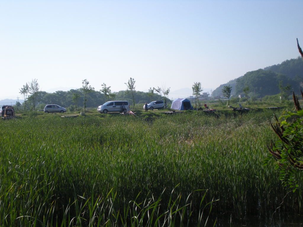 DSCN6729.JPG