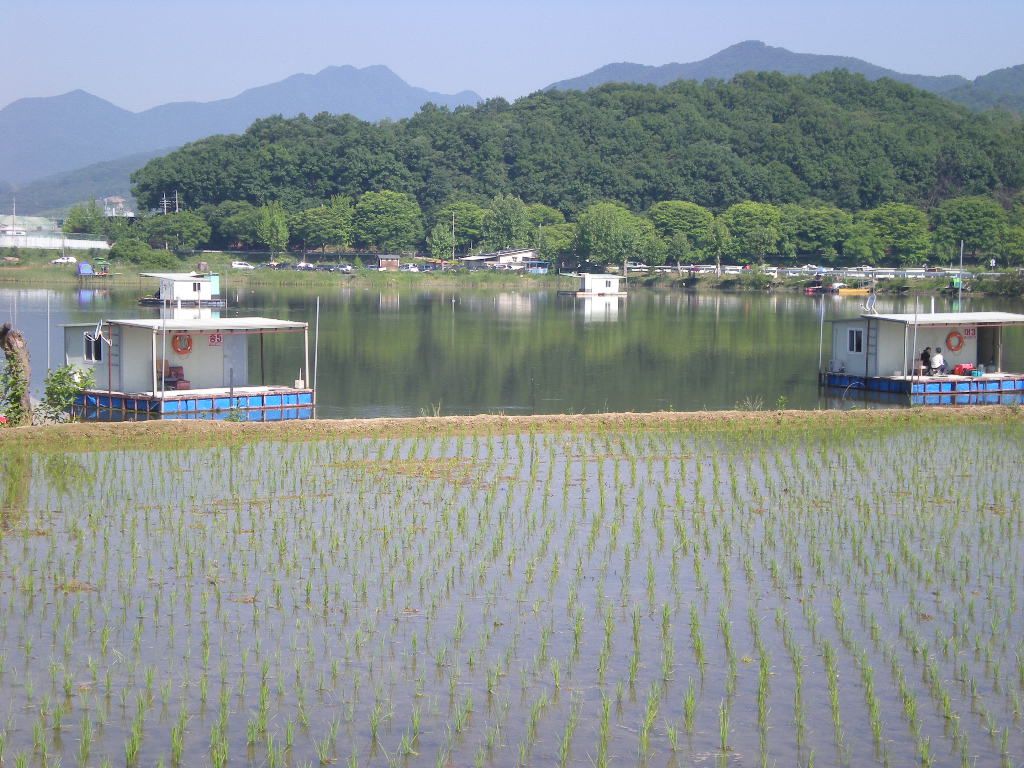 DSCN6739.JPG