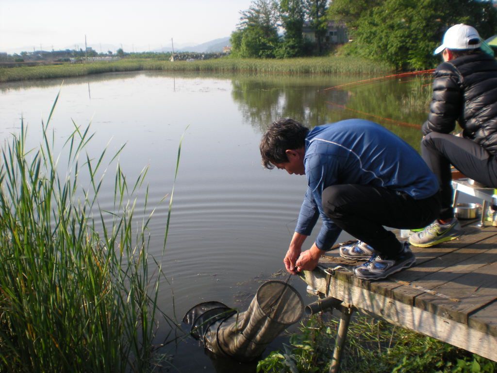 DSCN6742.JPG