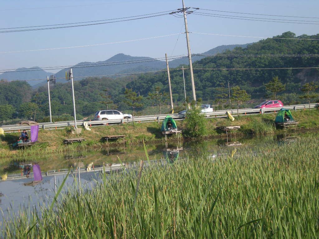 DSCN6746.JPG