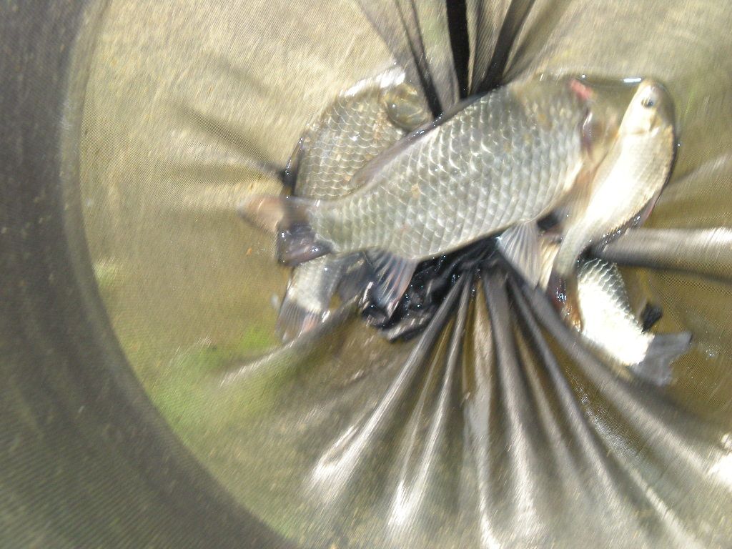 DSCN6749.JPG