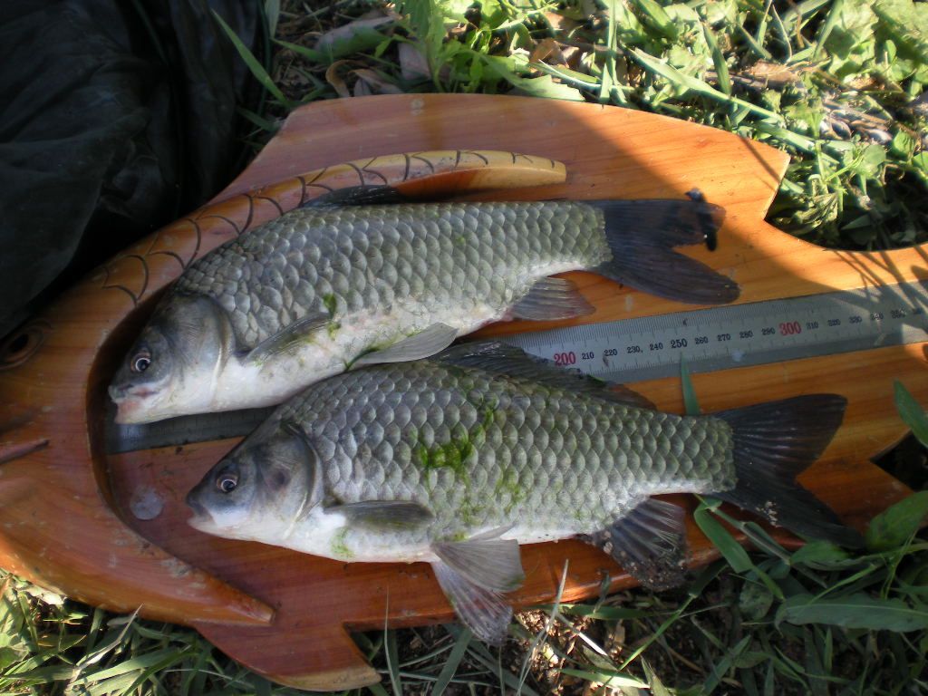DSCN6751.JPG