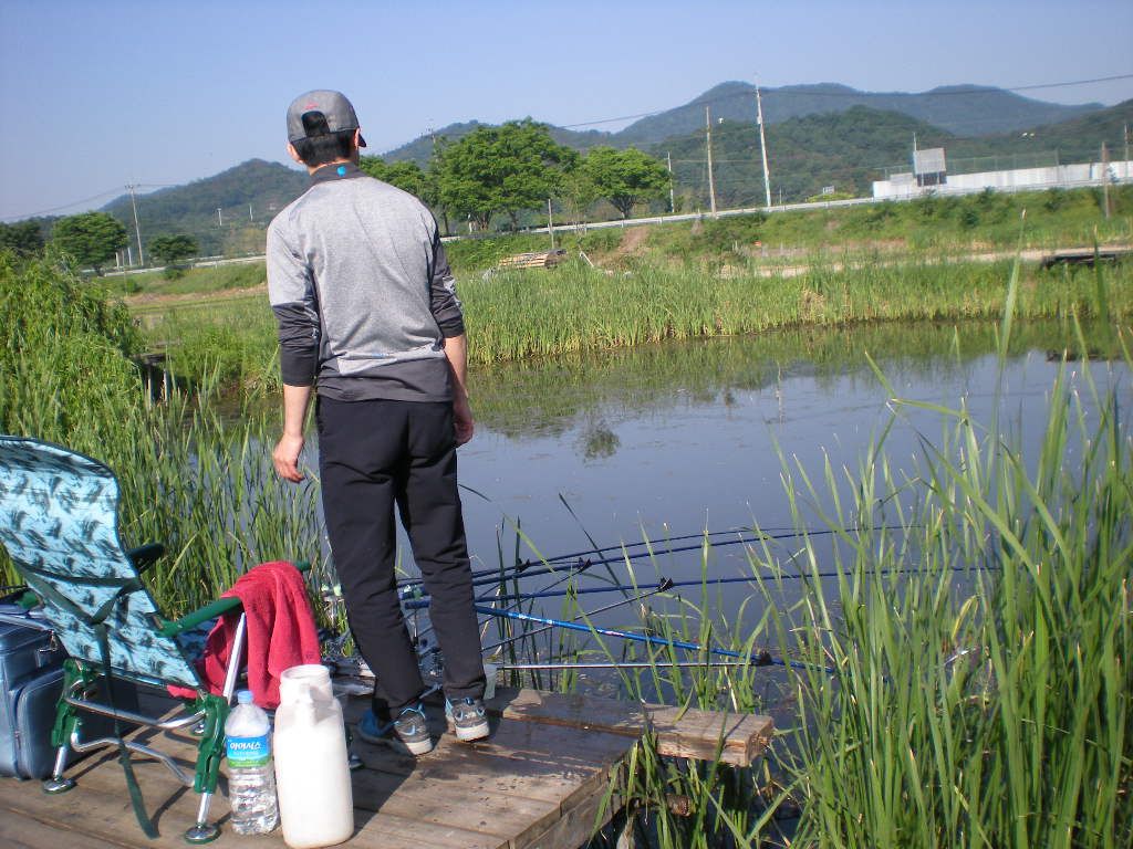 DSCN6754.JPG