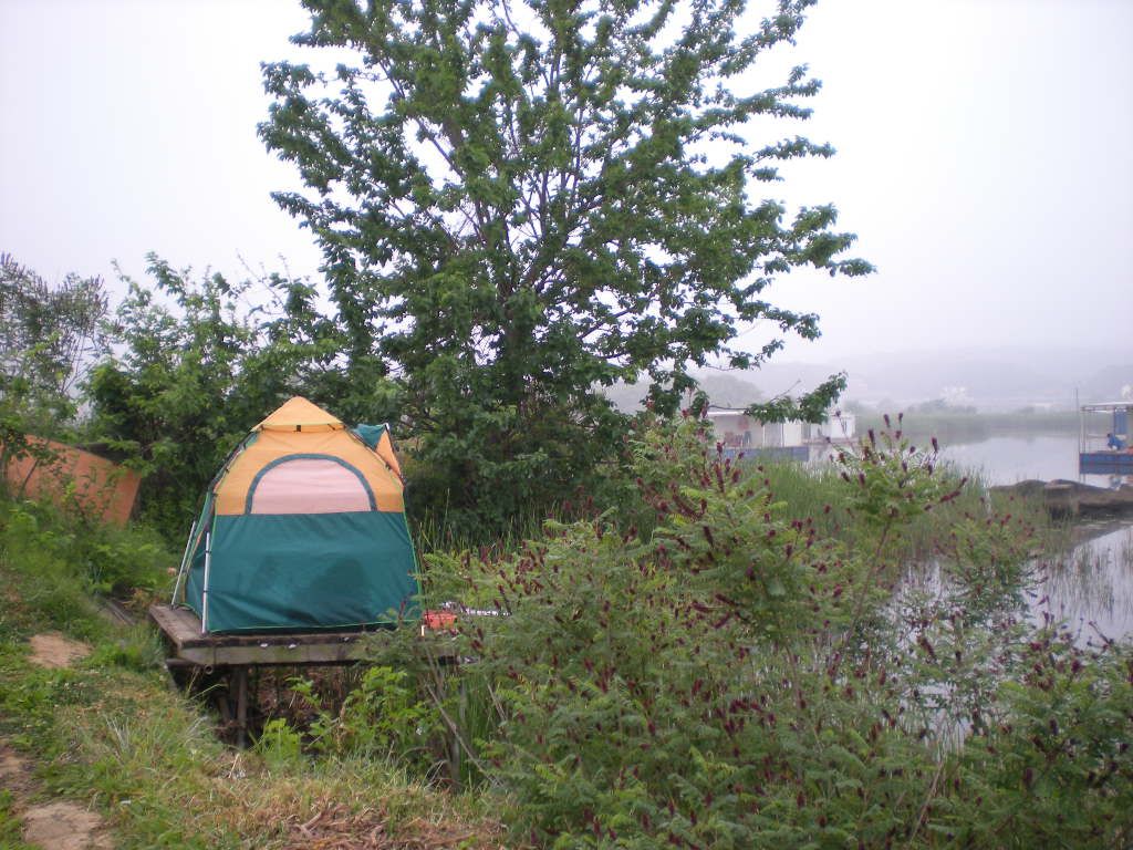 DSCN6818.JPG