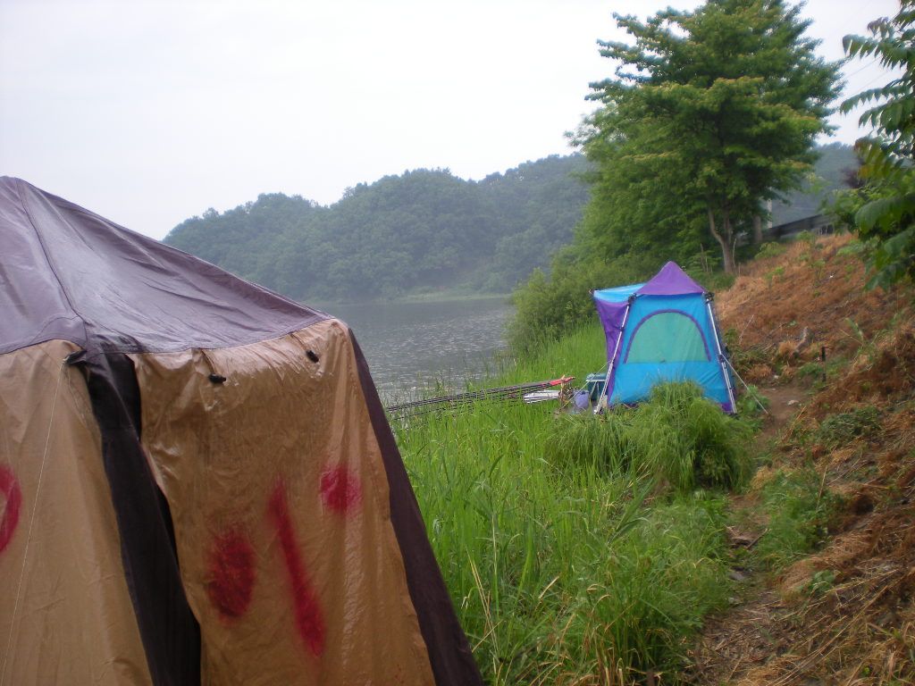 DSCN6801.JPG