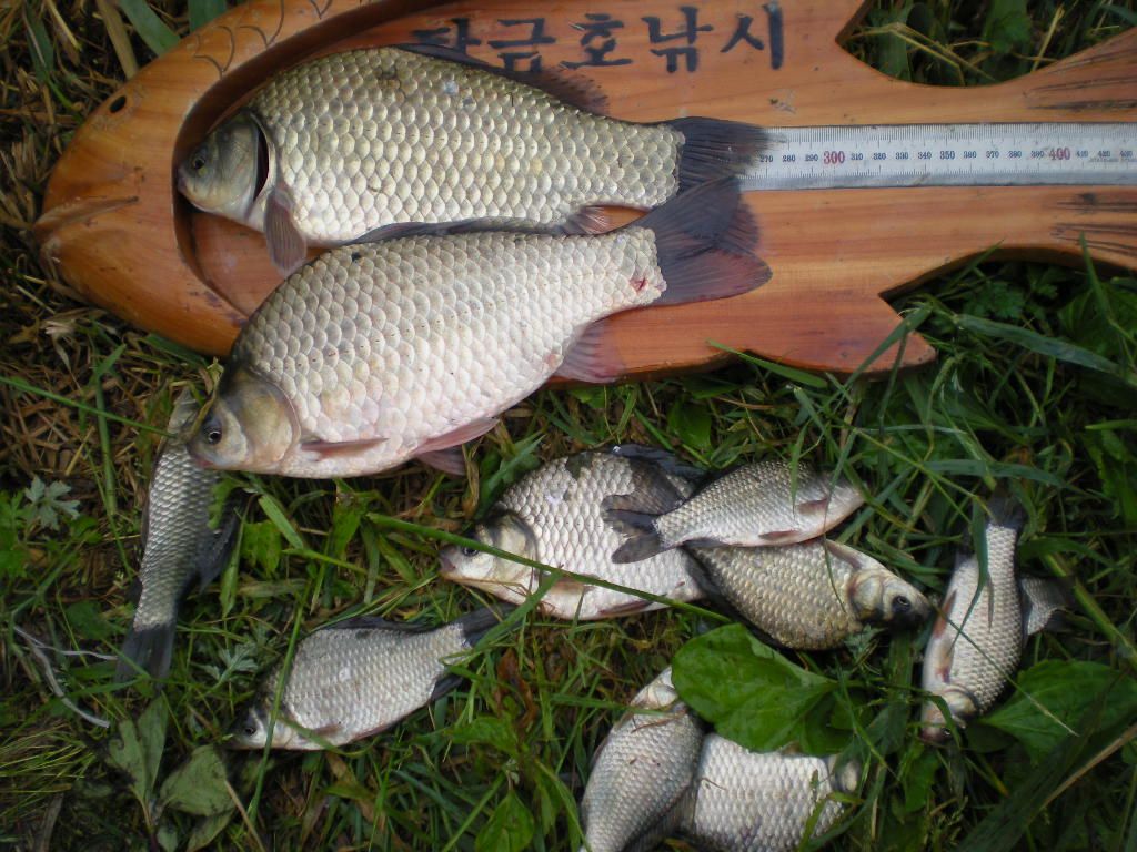 DSCN6812.JPG