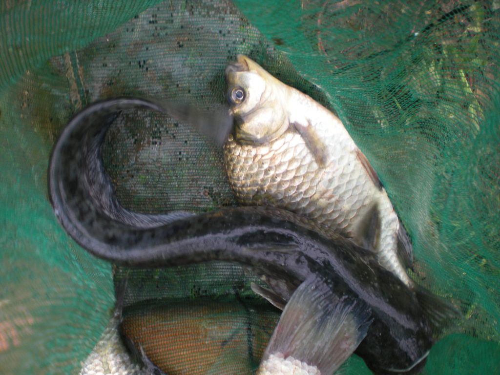 DSCN6827.JPG