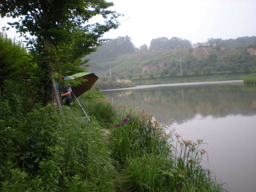 DSCN6831.JPG