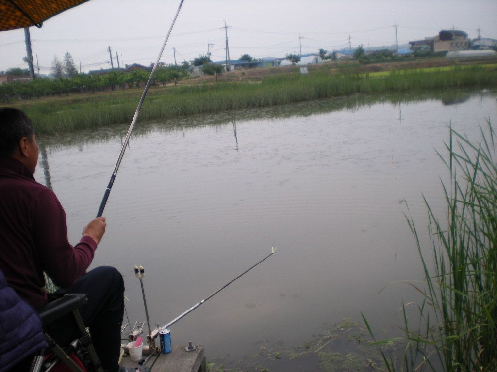 DSCN6842.JPG
