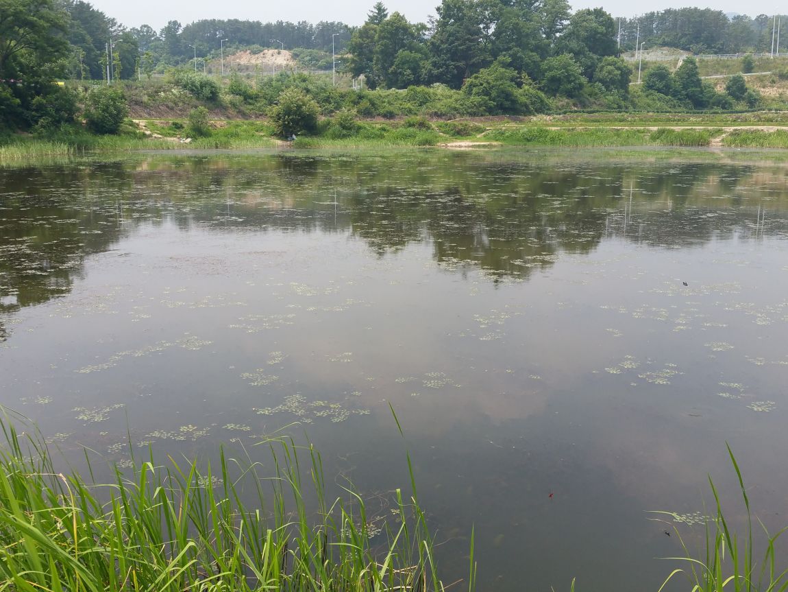 20150622_115849.jpg