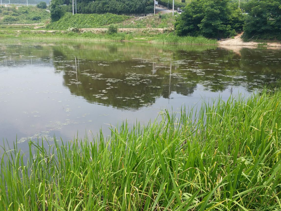 20150622_115845.jpg
