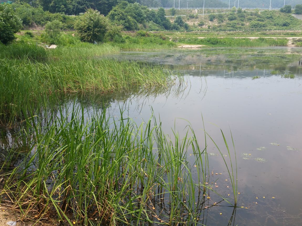 20150622_120338.jpg