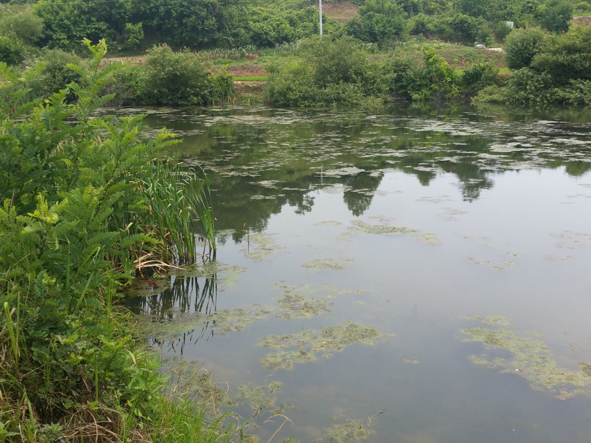20150625_122116.jpg