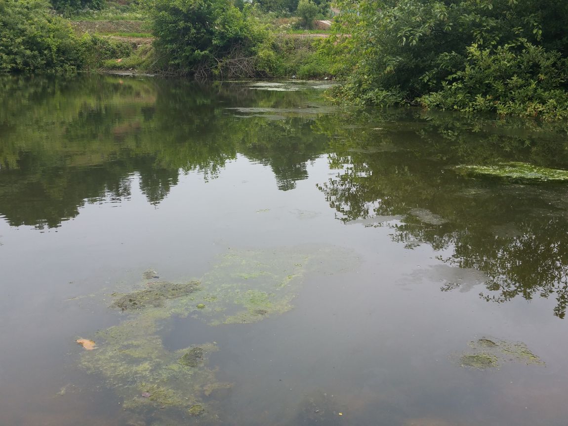 20150625_122301.jpg