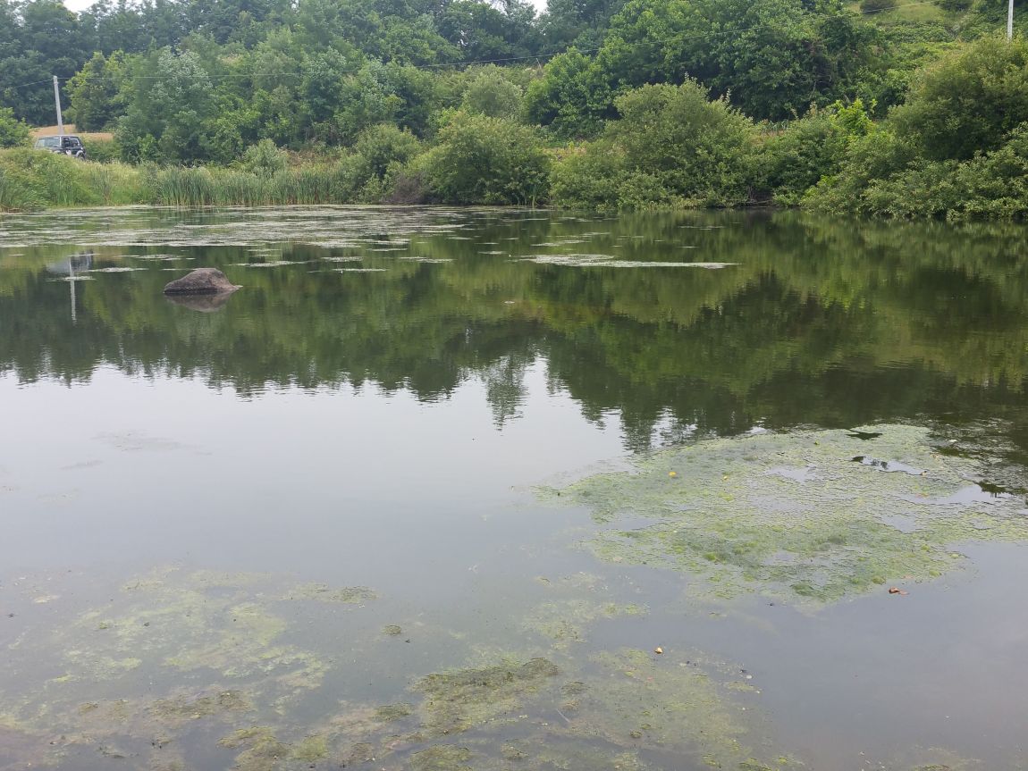 20150625_122305.jpg