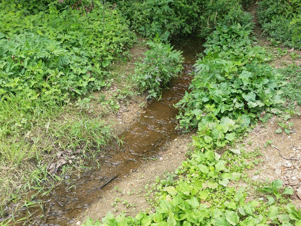 20150625_122418.jpg