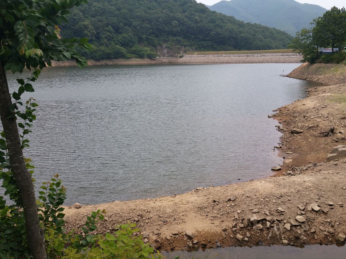 20150625_124831.jpg