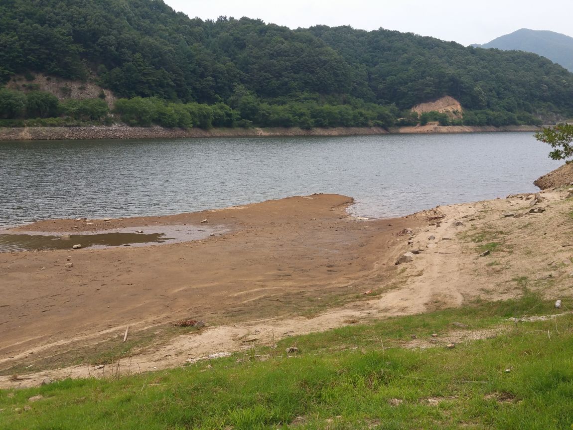 20150625_125049.jpg