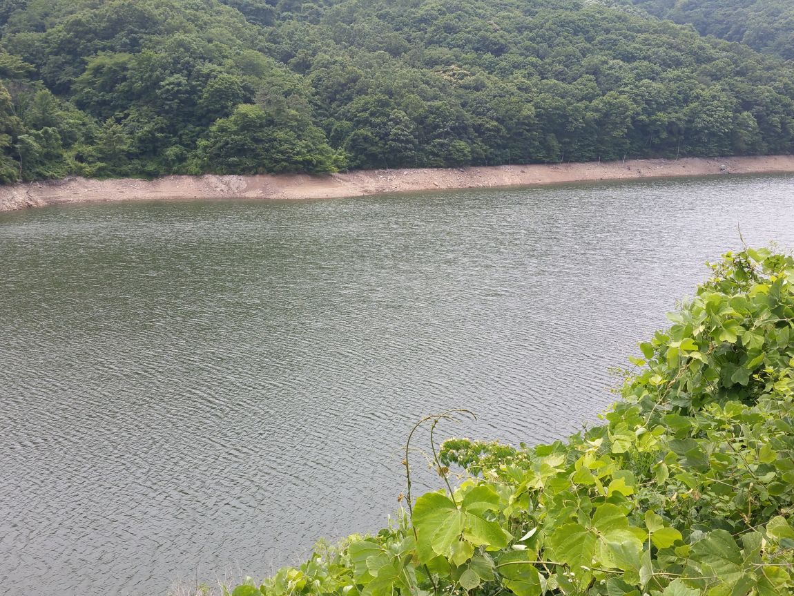20150625_131237.jpg