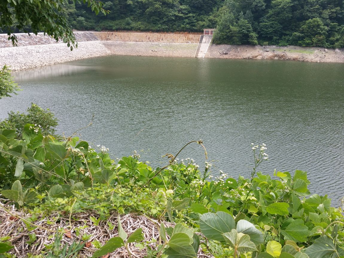 20150625_131245.jpg