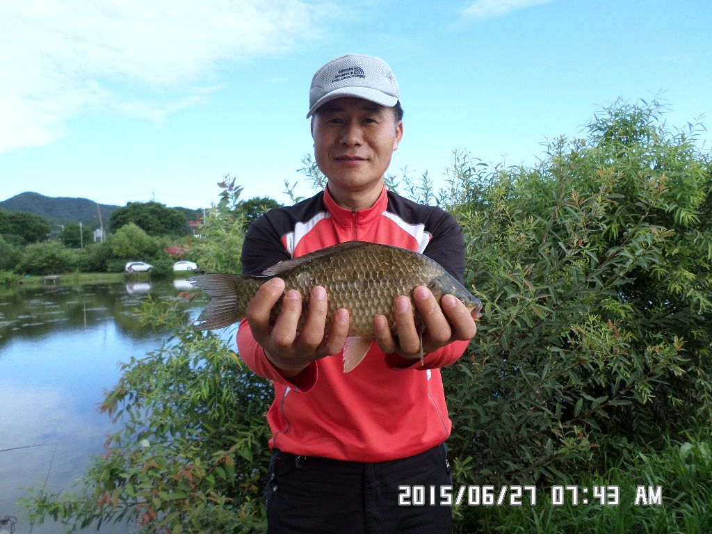 SAM_0681.JPG
