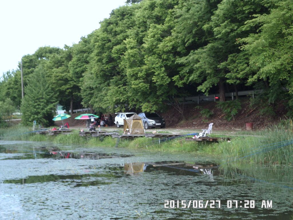 SAM_0677.JPG