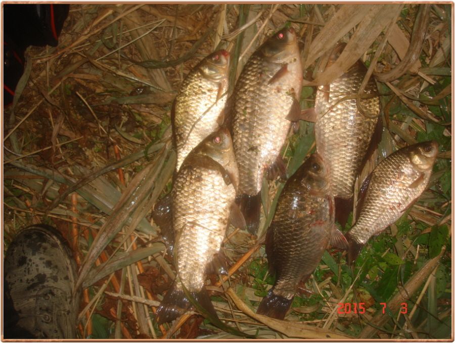 �ٹ̱�_�ٹ̱�_���� 007.jpg