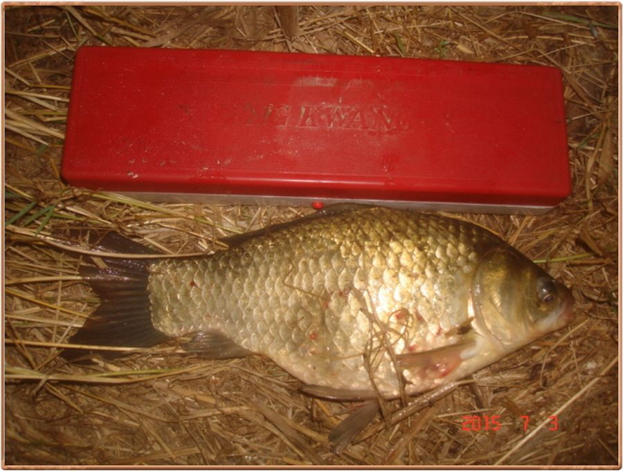 �ٹ̱�_�ٹ̱�_���� 006.jpg