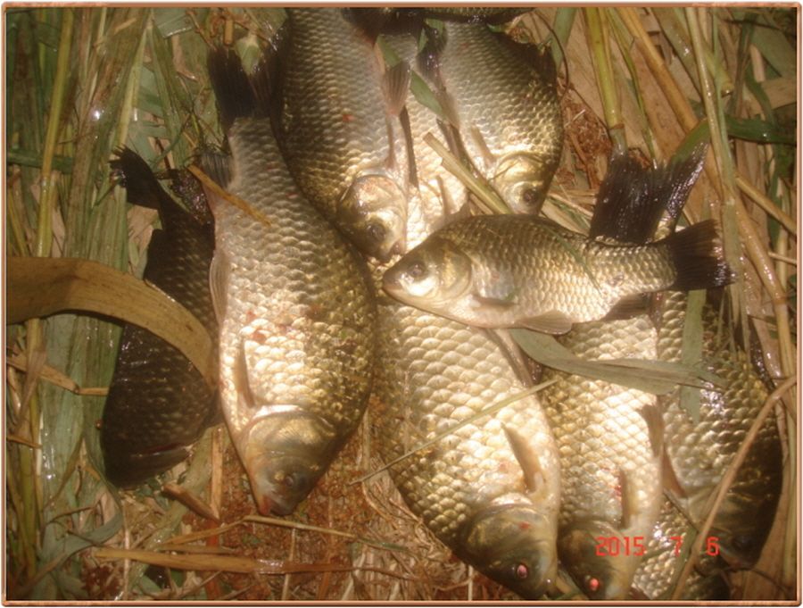 �ٹ̱�_�ٹ̱�_���� 016.jpg