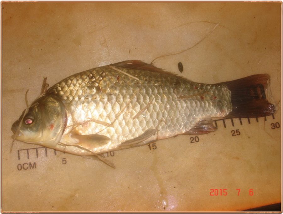 �ٹ̱�_�ٹ̱�_���� 020.jpg