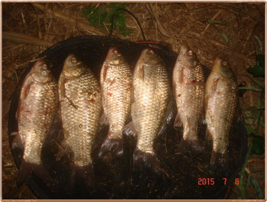 �ٹ̱�_�ٹ̱�_���� 022.jpg