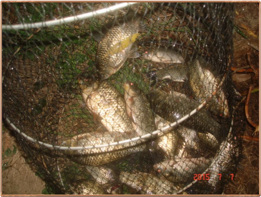 ²Ù¹Ì±â_²Ù¹Ì±â_»çÁø 002.jpg