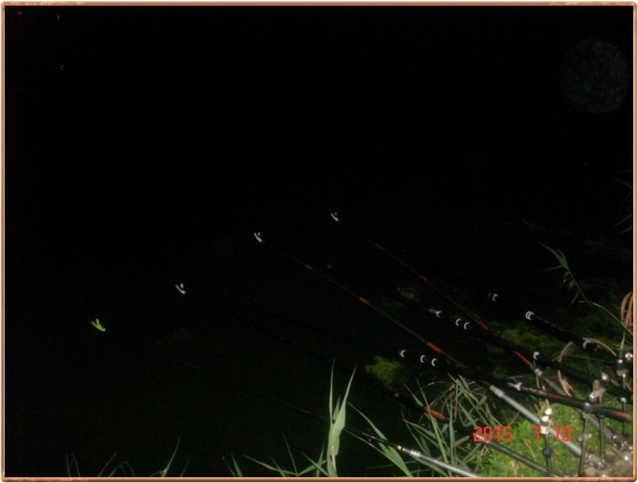 ²Ù¹Ì±â_²Ù¹Ì±â_»çÁø 011.jpg