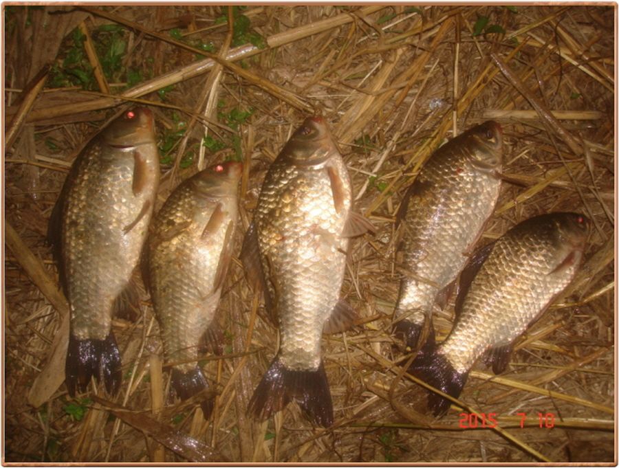 ²Ù¹Ì±â_²Ù¹Ì±â_»çÁø 017.jpg