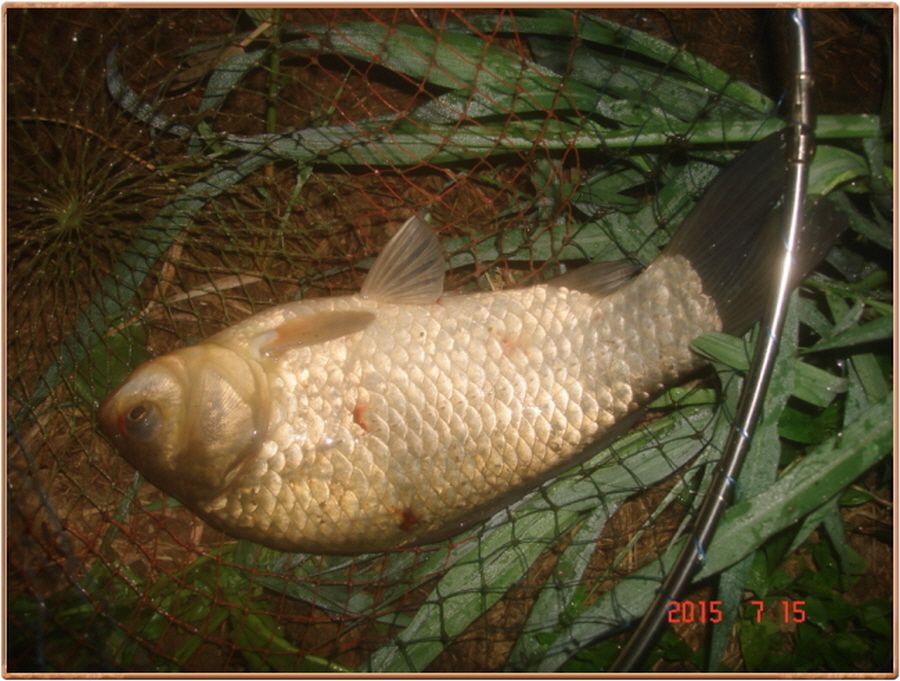 ²Ù¹Ì±â_²Ù¹Ì±â_»çÁø 020.jpg